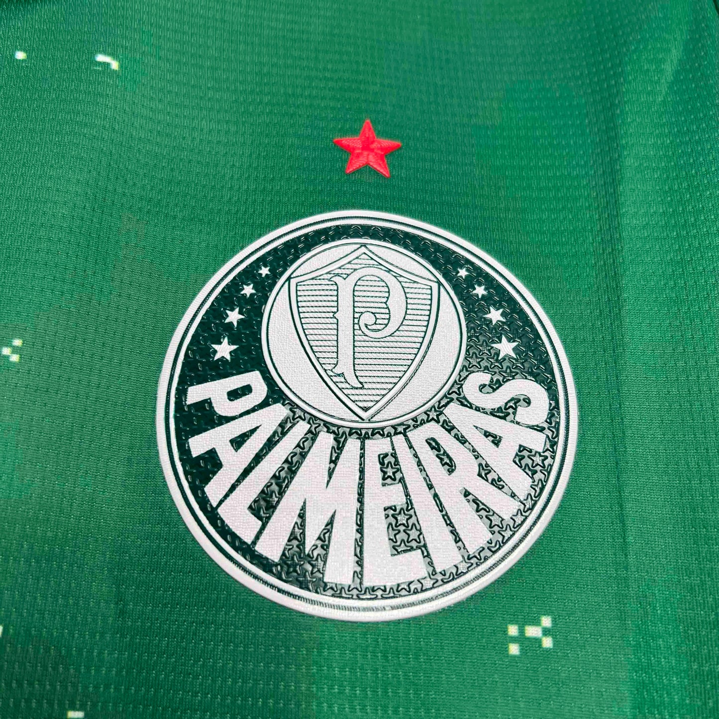 Palmeiras For a Greener Future Special Edition